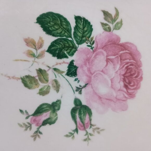 Pope Gosser Vintage Rose Point 10" Plate - Picture 4 of 8